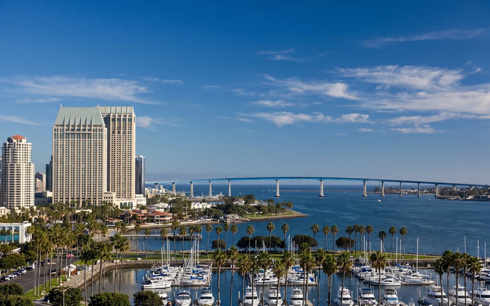 The San Diego skyline in clear daytime light
